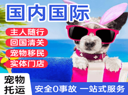 天津滨海机场物流国际宠物托运 【国